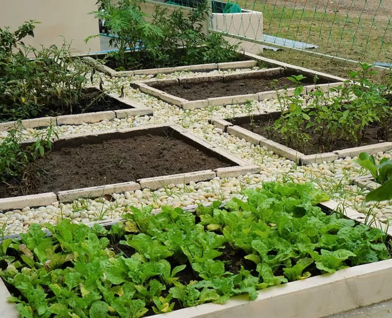 พีคอะบู_สถานที่_0009